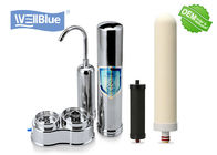Stainless Steel Color Alkaline Countertop Water Purifier With Ceramic Filter