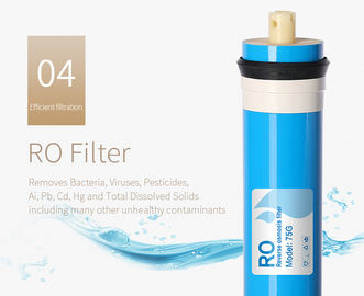 WellBlue Household Reverse Osmosis Water Purifier , RO Water Filter Machine